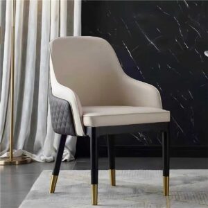 Luxurious Dining Chair